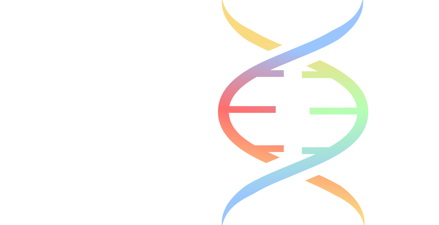 SCREEN Icon