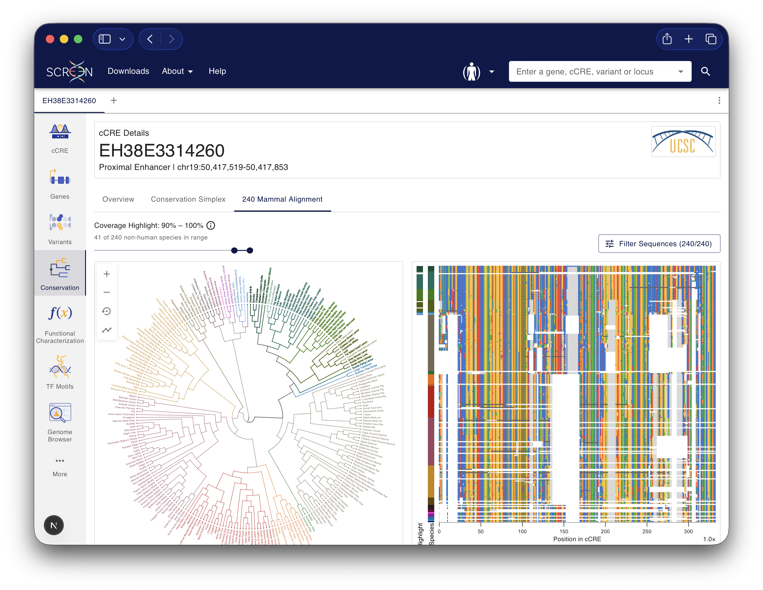 240 Mammal Sequence Alignment screenshot