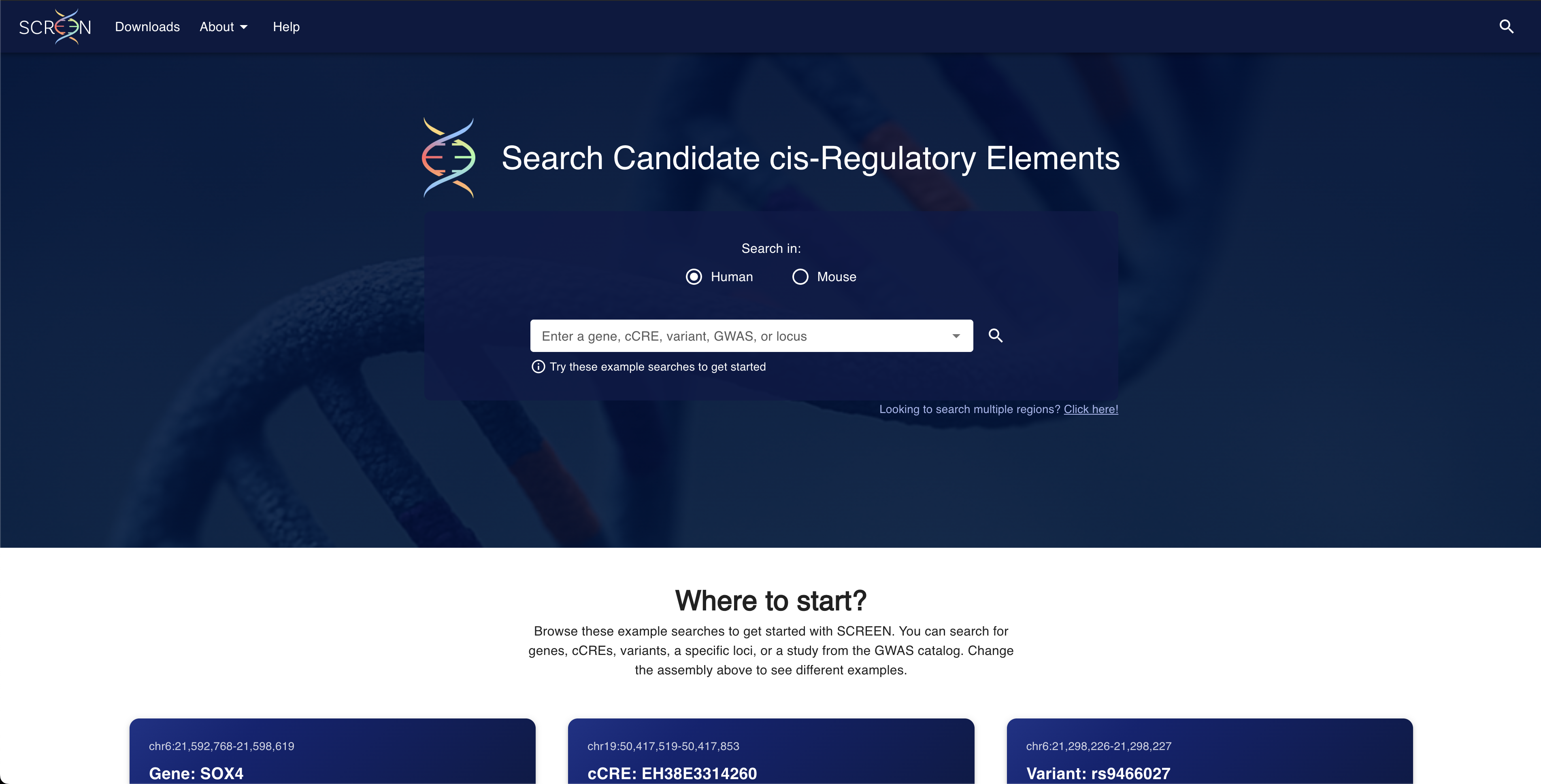 Visualization-focused release with entity dedicated pages screenshot